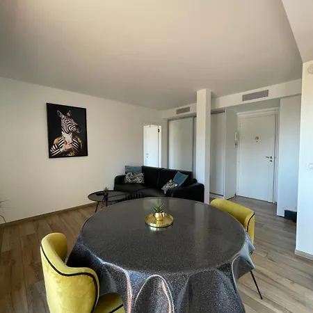 Apartment 2 Pieces Vue Sur Le Suquet Cannes